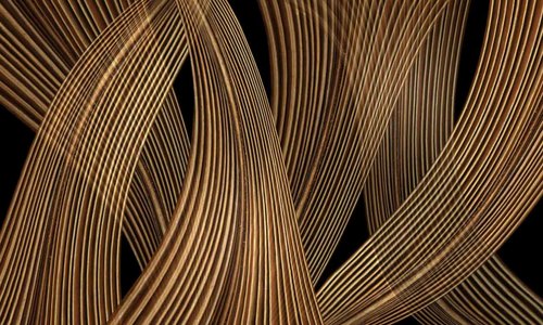 Palm Leaf Dance