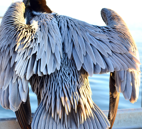Ready for Take-Off