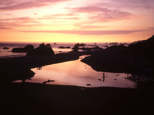 Paddleboarding at Sunset