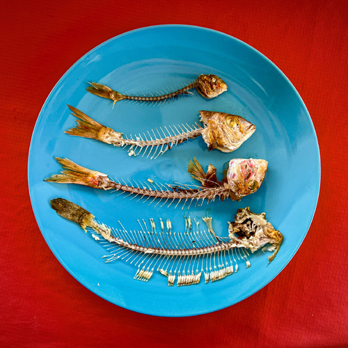 Fishless
