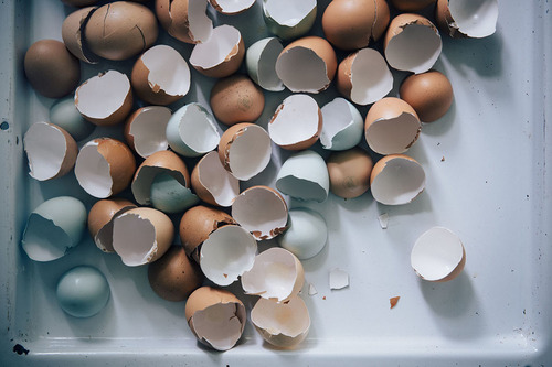 Eggshells