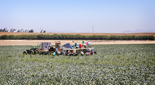 Migrant Workers