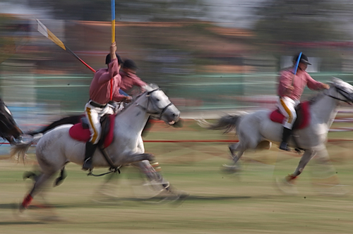 Horse Riding