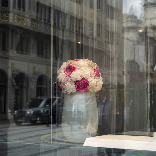 Flowers in reflections