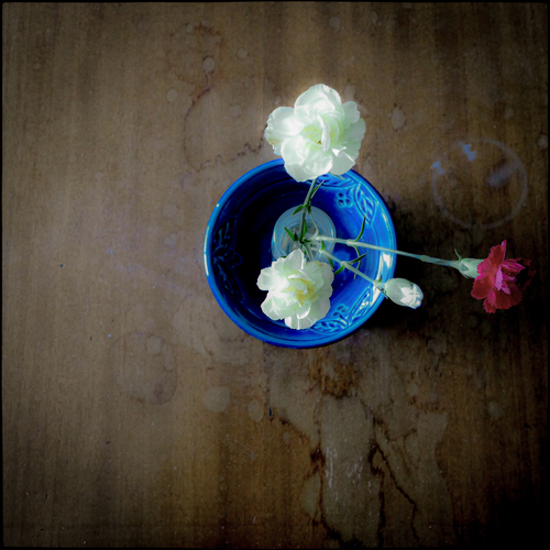 Granny's Flowers
