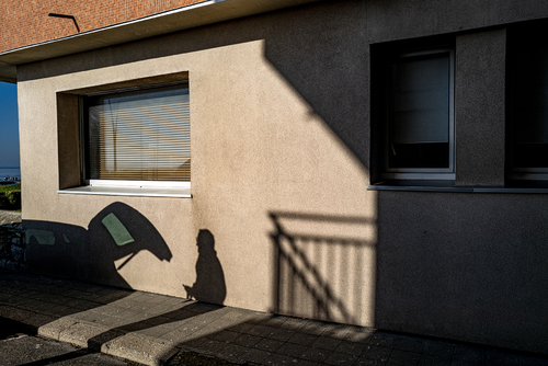 Shadowlands