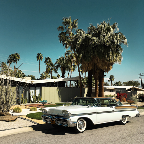 Twin Palms #2