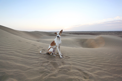 sunset pose