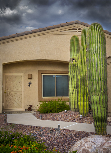 Cactus House