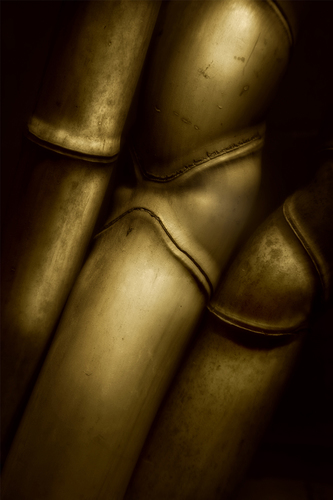 Bamboo