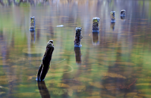 Water #3