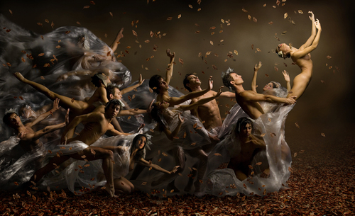 Automn Wind
