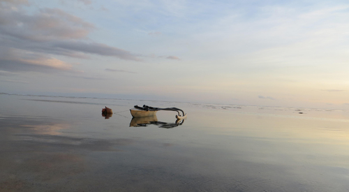 Lonely Pirogue