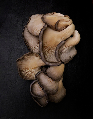 Mushrooms