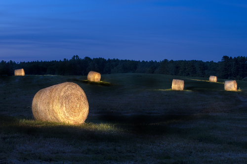 Hay Bales #33, 2019