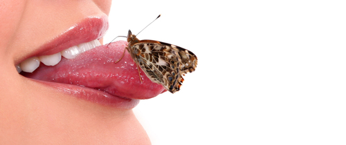 Butterfly Kisses