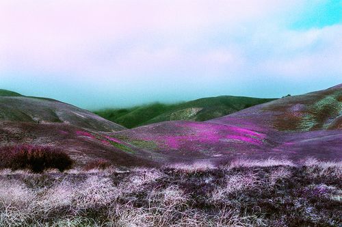 The Hills of Gorman on a Stormy Spring Day