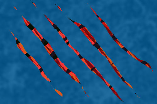the flags of human rights are  narrow