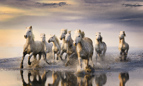 Dancing on Glass