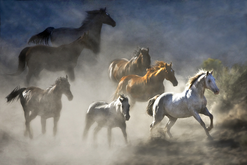 Running Free