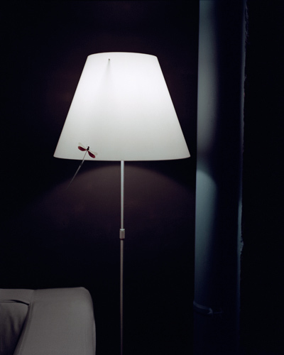Untitled (2)