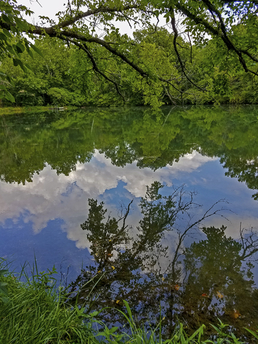 Lake Reflections