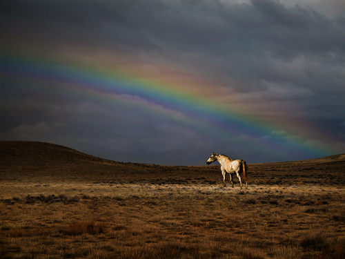 At the End of the Rainbow