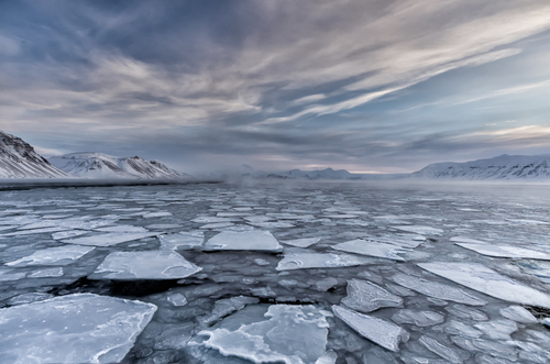 Arctic Blast
