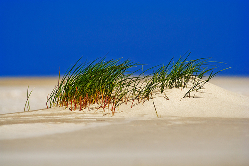 At the Beach
