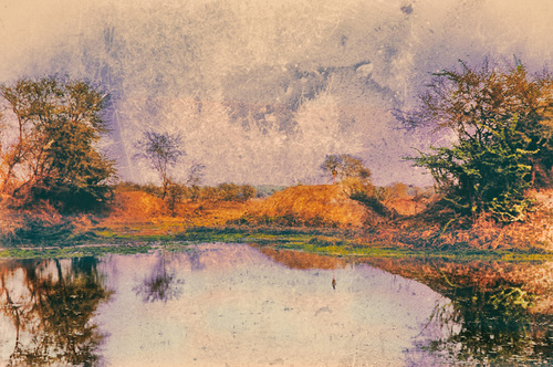 Heron Against Pink Sky
