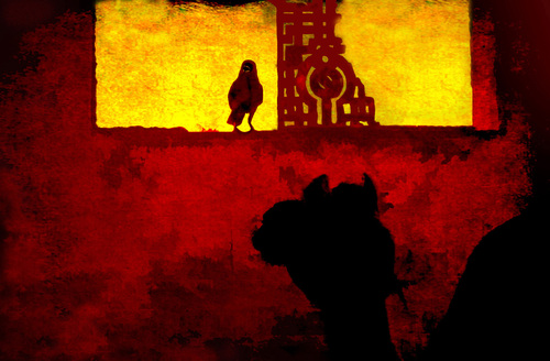 So This Cardinal Met Up with This Camel