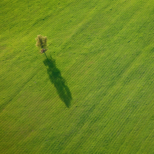 Shadow