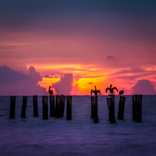 Florida