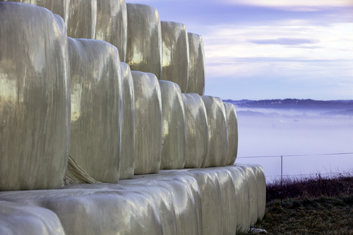 Hay Bales
