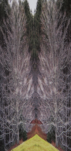 Mirrored Soul