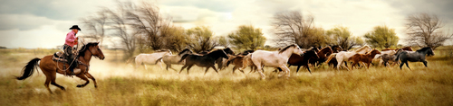 Roundup