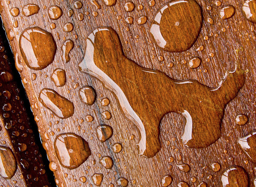 RAIN ON VARNISHED WOOD