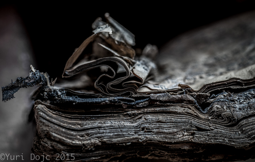 Old Prayer Book