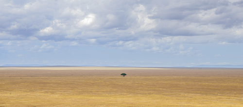 Endless Plain