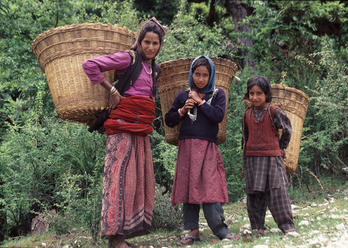 Nepali gatherers