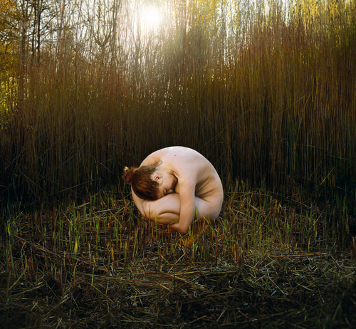 IJtocht - nest, 2021