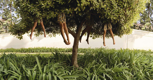 Lissabon - tree