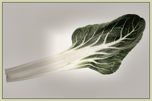 Chard