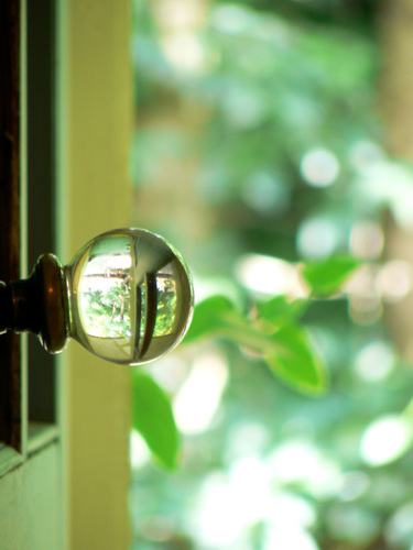 Door Knob 