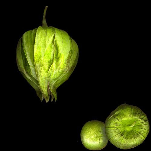 Tomatillos 2