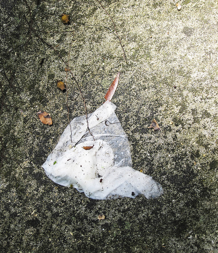 Flotsam-Tissue