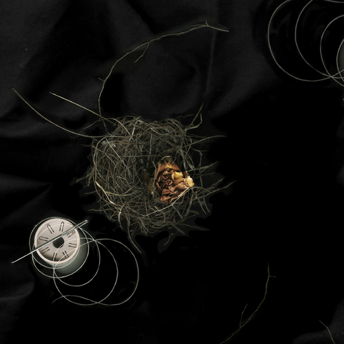 Nest
