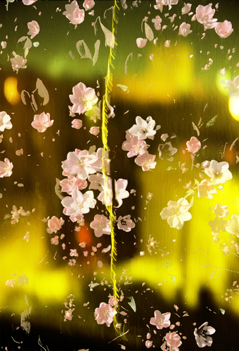 Window Ice Floral