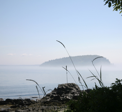 Island, Grass, Fog