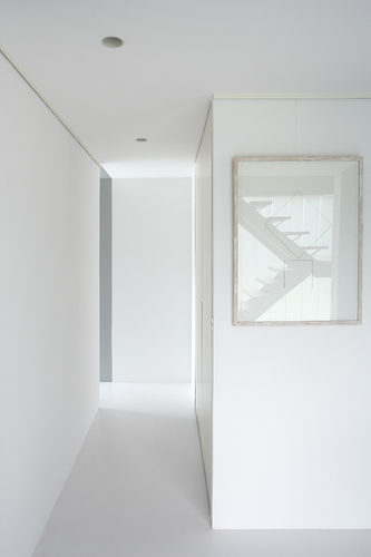 white reflex